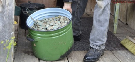 Поле выдало большую кучу медных монет