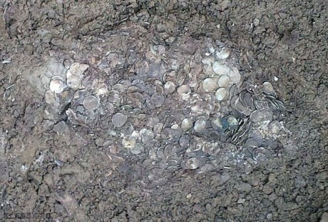 Найден клад саксонских монет в Англии