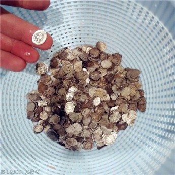 Клад чешуи, более 2000 монет