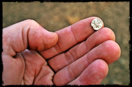 Находки на ладони #113 Findings on the palm
