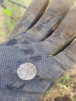 Находки на ладони #148 Findings on the palm