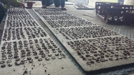 Семейная пара нашла огромный клад серебряных монет